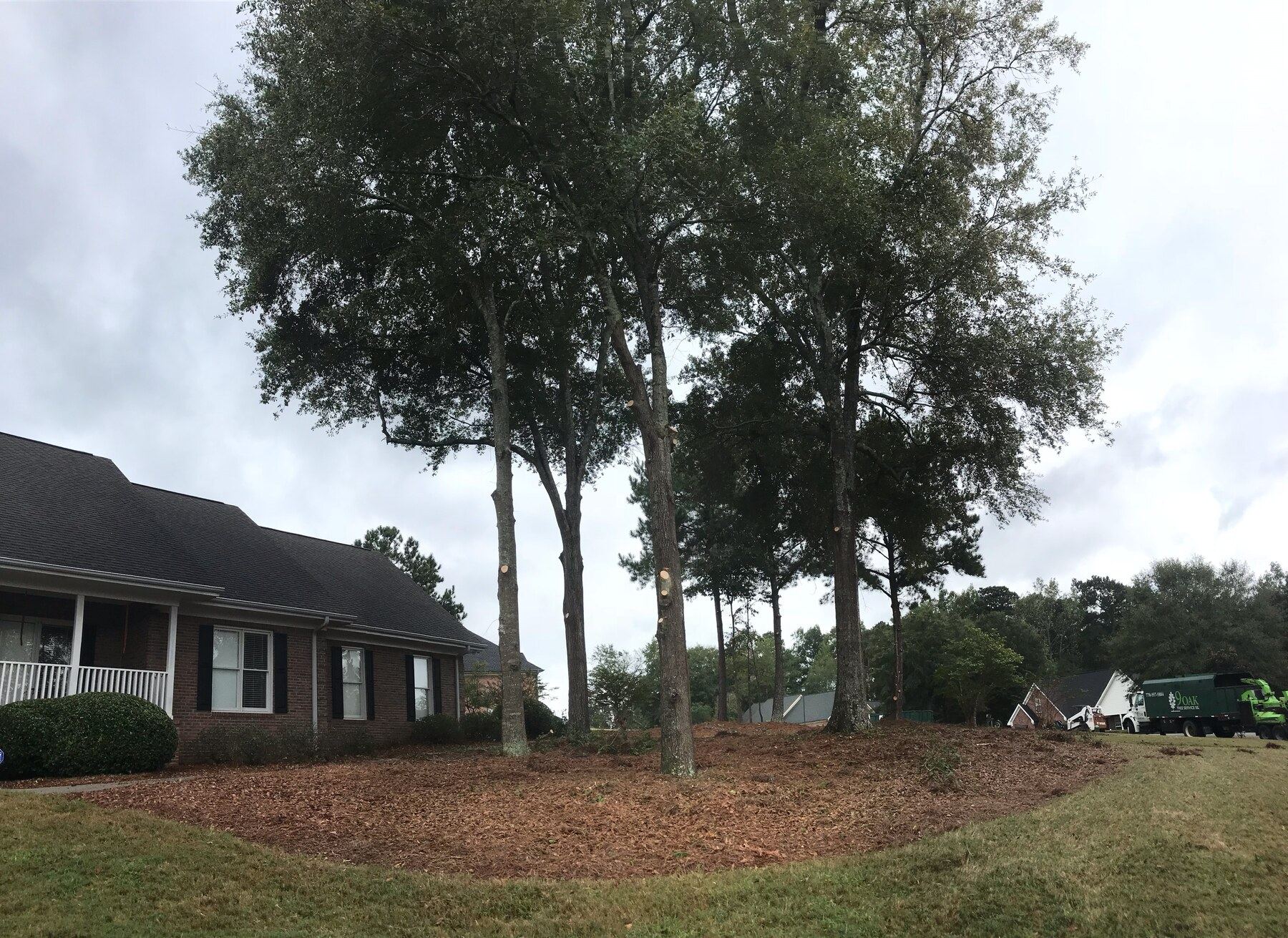 Tree trimming